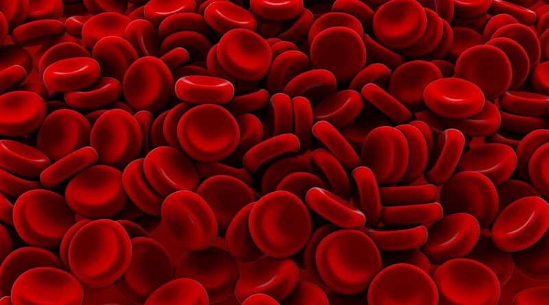 Increase Your Red Blood Cell Count