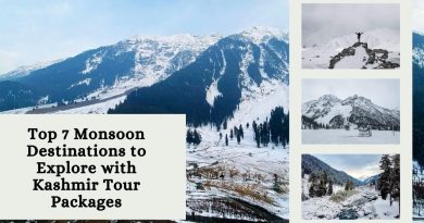 Kashmir tour packages
