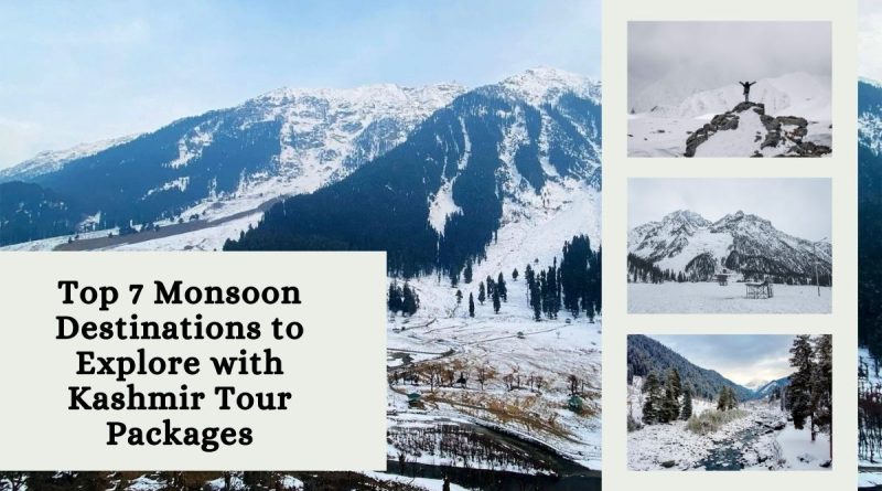 Kashmir tour packages