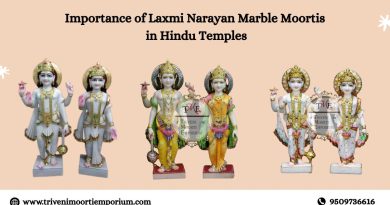 Laxmi Narayan Marble Moorti