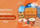 Rajasthan Luxury Tour Package