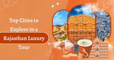 Rajasthan Luxury Tour Package