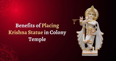 Benefits of Placing Krishna Statue in Colony Temple